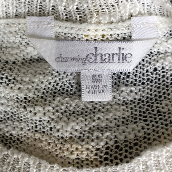 Charming Charlie Short Sleeve Light Weight Stripe Sweater Size Medium - Picture 3 of 7